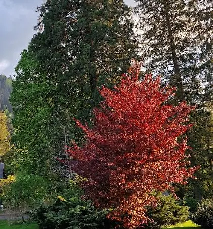 Hotel Chezjeanne La Bourboule