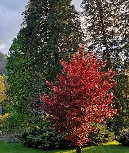 Hotel Chezjeanne La Bourboule